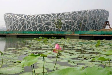 Image 448887402