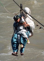 Image 448888610