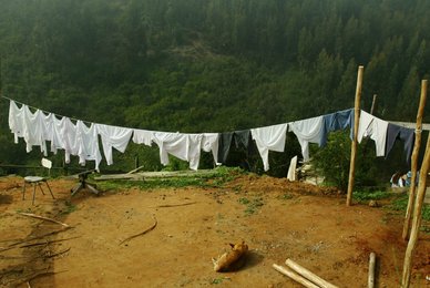 Image 448921365