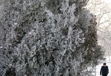 Image 448989007