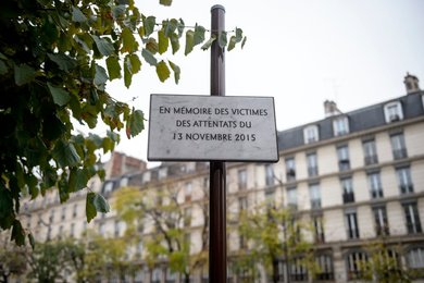 Image 449124591