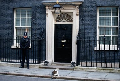 Image 449136417