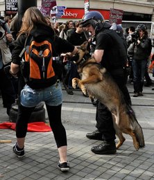 Image 449313620