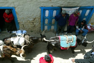 Image 449534247