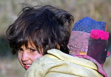 Image 449569191