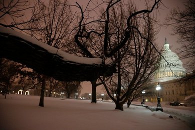 Image 449595753
