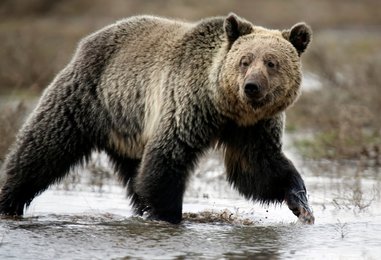 Image 449606967