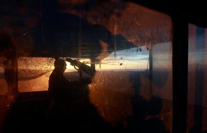Image 449628948