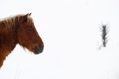 Image 449653156