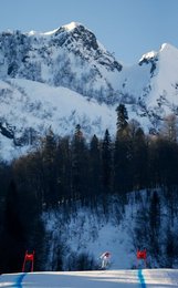 Image 449686690