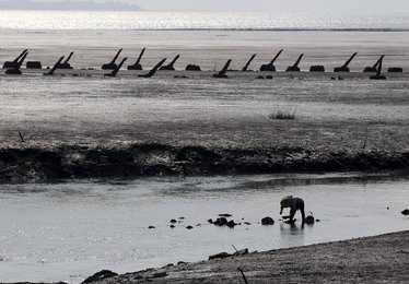 Image 449693941