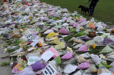Image 449725420