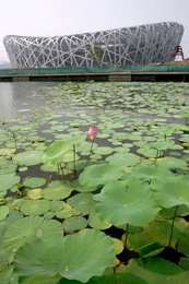 Image 449829730