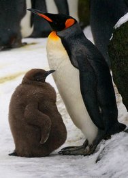 Image 449852129