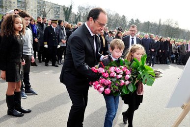 Image 449928159