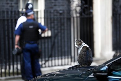 Image 449941974