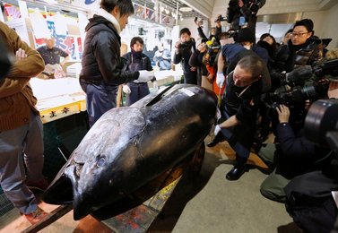 Image 449999855