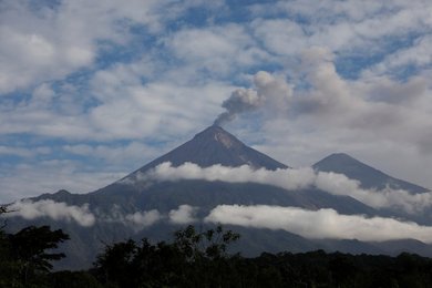 Image 450136453