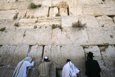 Image 450195453