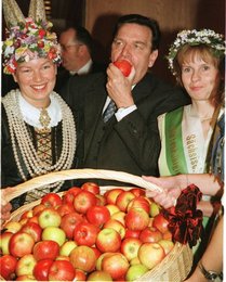 Image 450246269