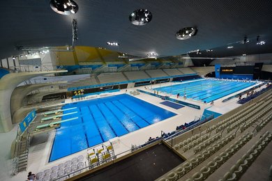 Image 450249763