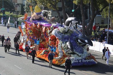 Image 450279419