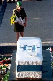 Image 450430518