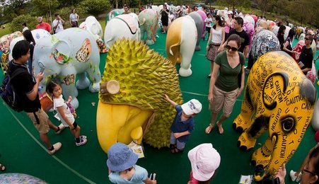 Image 450732439