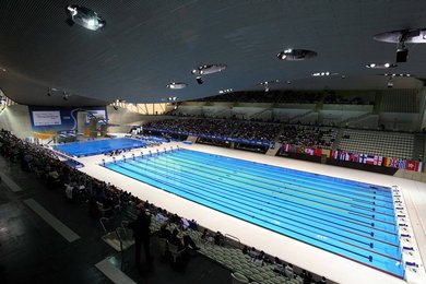 Image 450771877