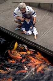 Image 450935849