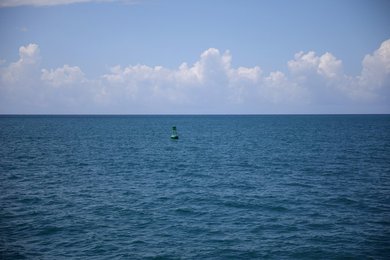 Image 451175696