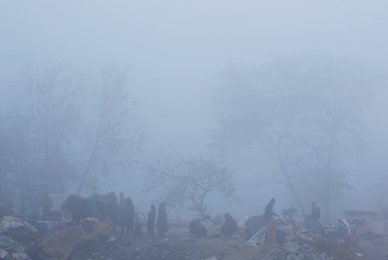 Image 451178813