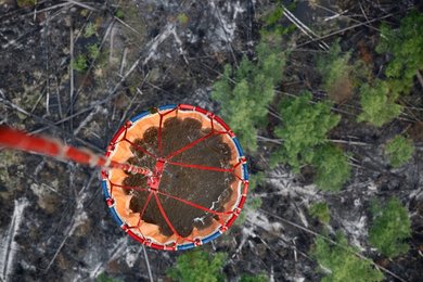 Image 451327052