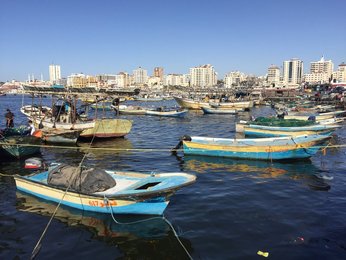 Image 451388291