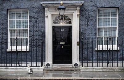 Image 451435242