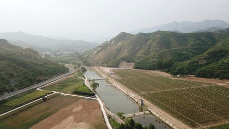 Image 451477380