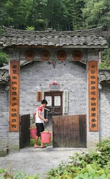 Image 451721281