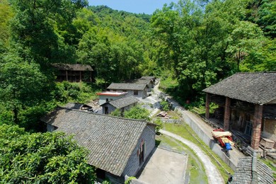 Image 451721338