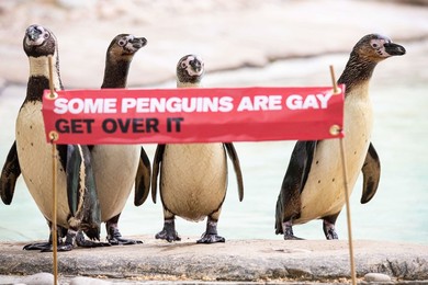 Image 451723813