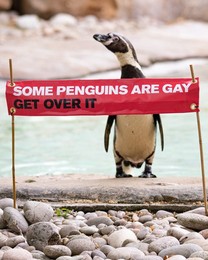 Image 451724585