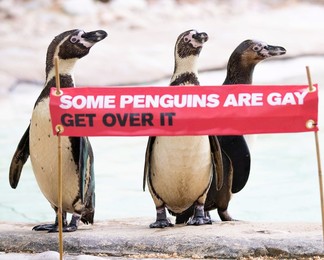 Image 451724587
