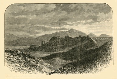 Image 451901033