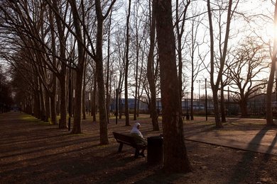 Image 451999150