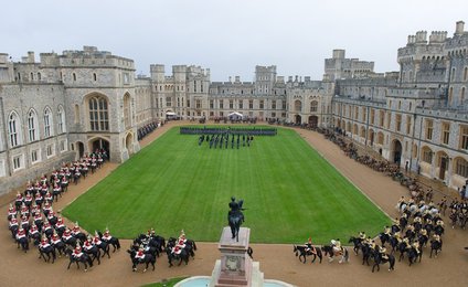 Image 452006135