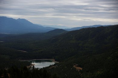 Image 452254873