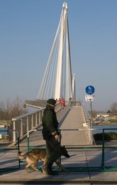 Image 452345648