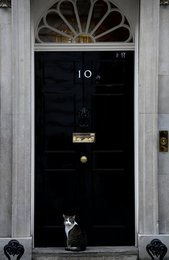 Image 452472182