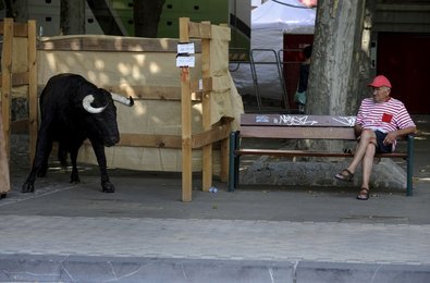Image 452649343