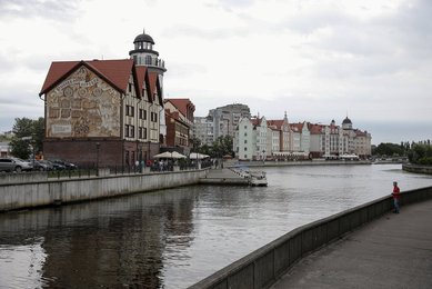 Image 452666025