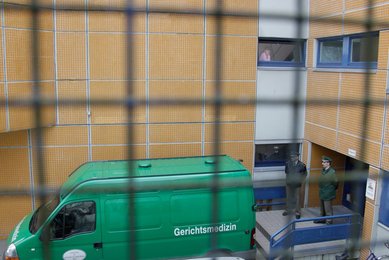 Image 452788501